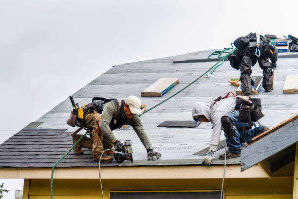 Professional Storm Damage Roof Repair technician working in England, AR